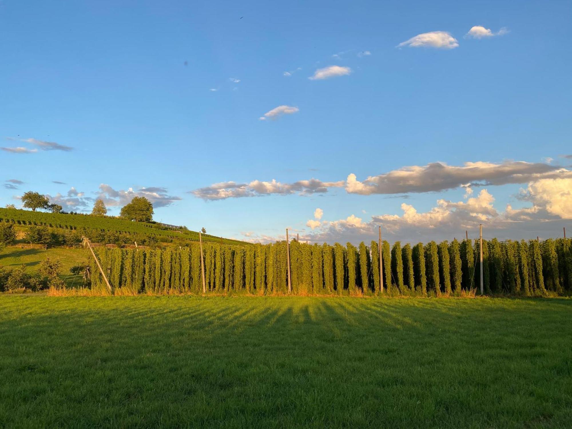 Beim Dorfbach I DIE HOFCHALETS Kressbronn am Bodensee Exterior foto